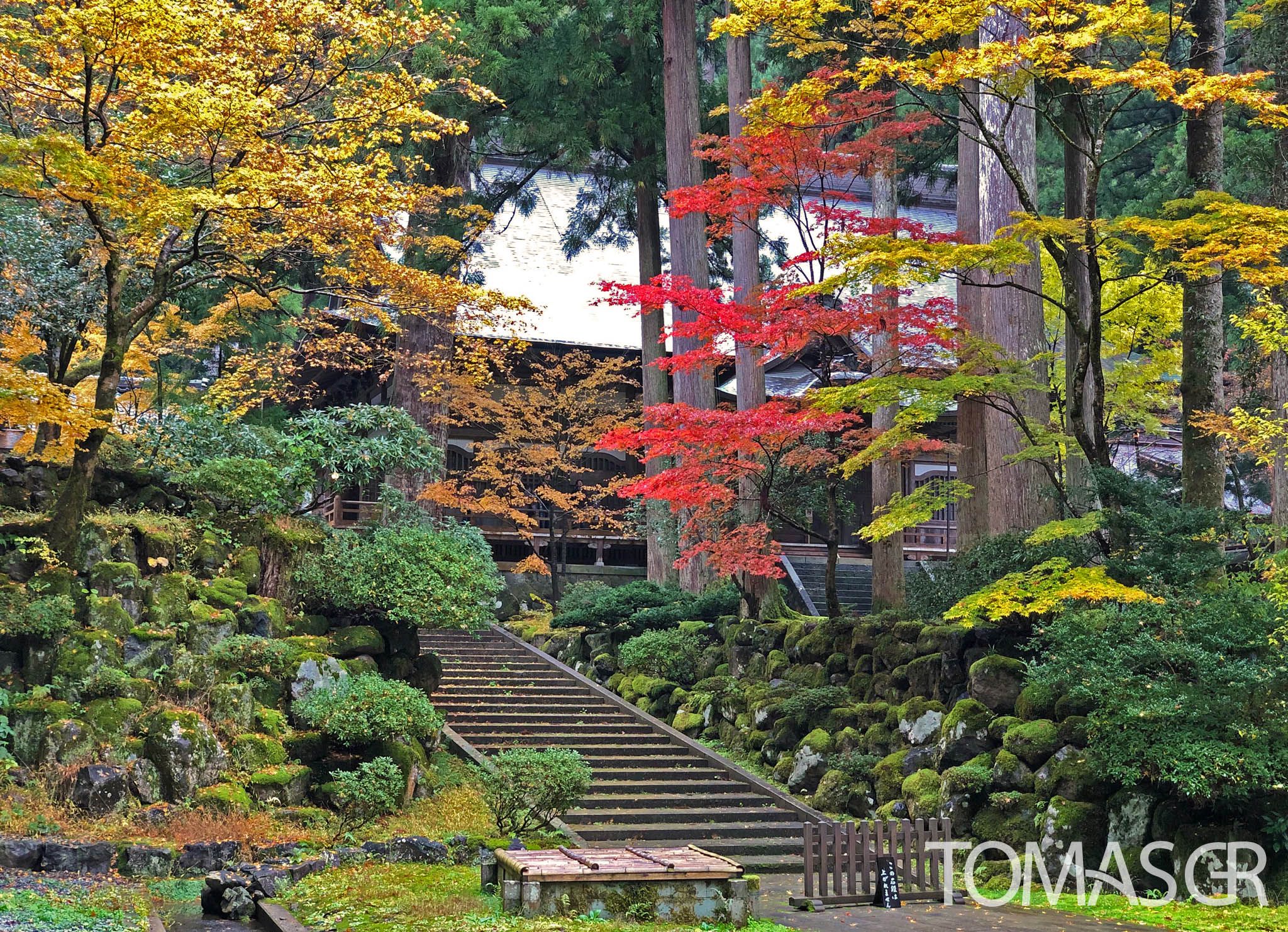 Tomas Gonzalez de Rosenzweig - Colors of Japan
