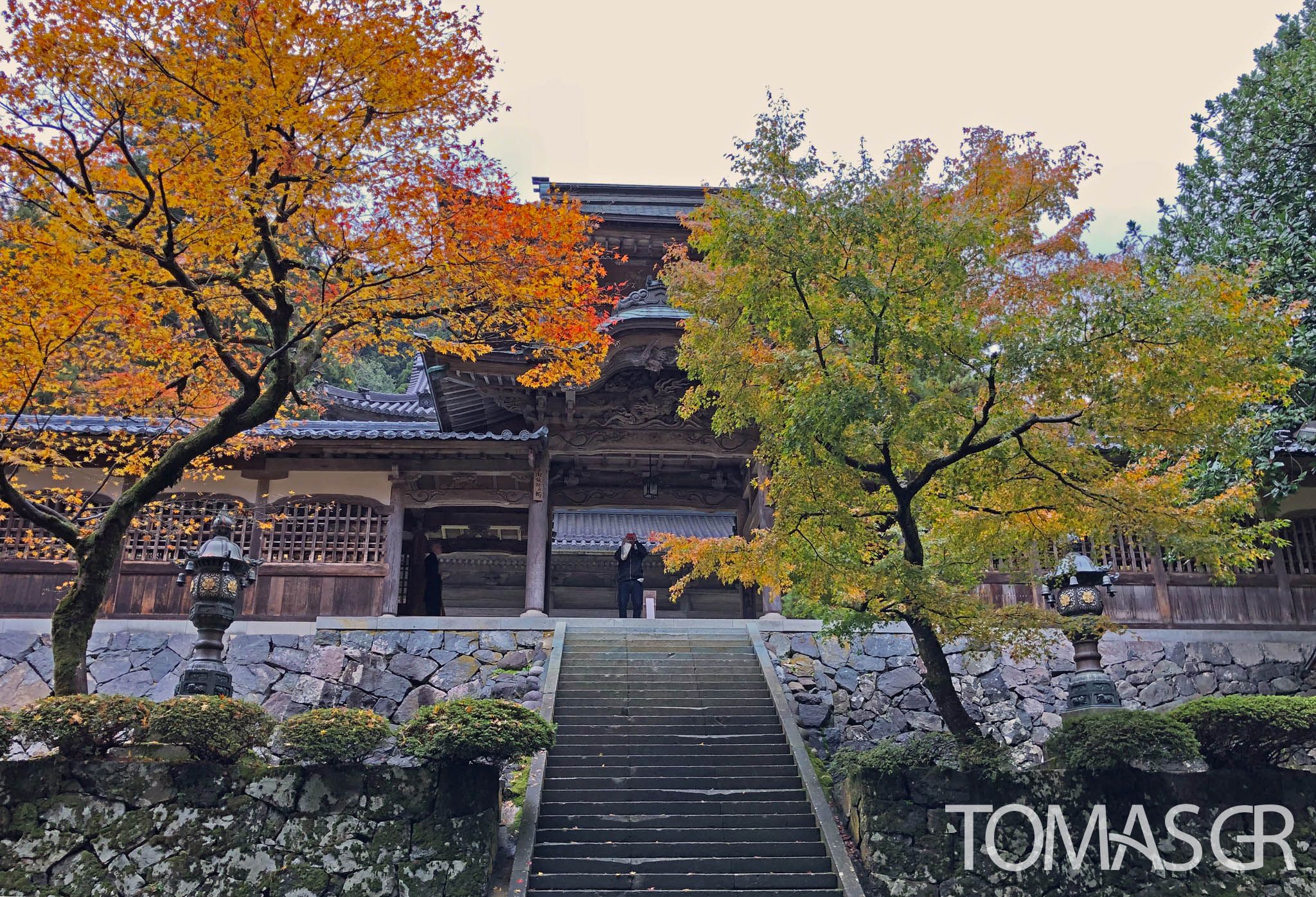 Tomas Gonzalez de Rosenzweig - Colors of Japan