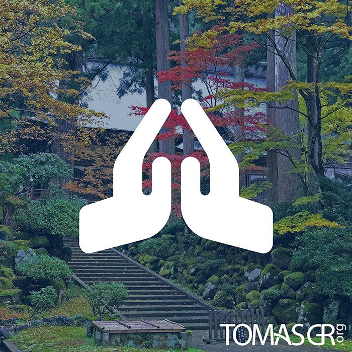 Tomas Gonzalez de Rosenzweig - Spotify Playlists