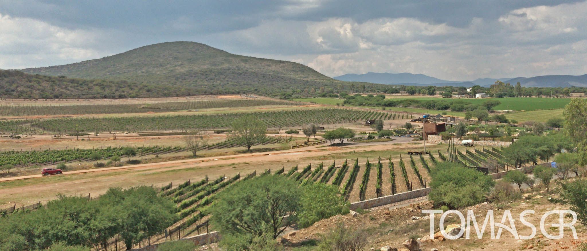 Tomas Gonzalez de Rosenzweig - La Puerta del Lobo, Queretaro, Mexico
