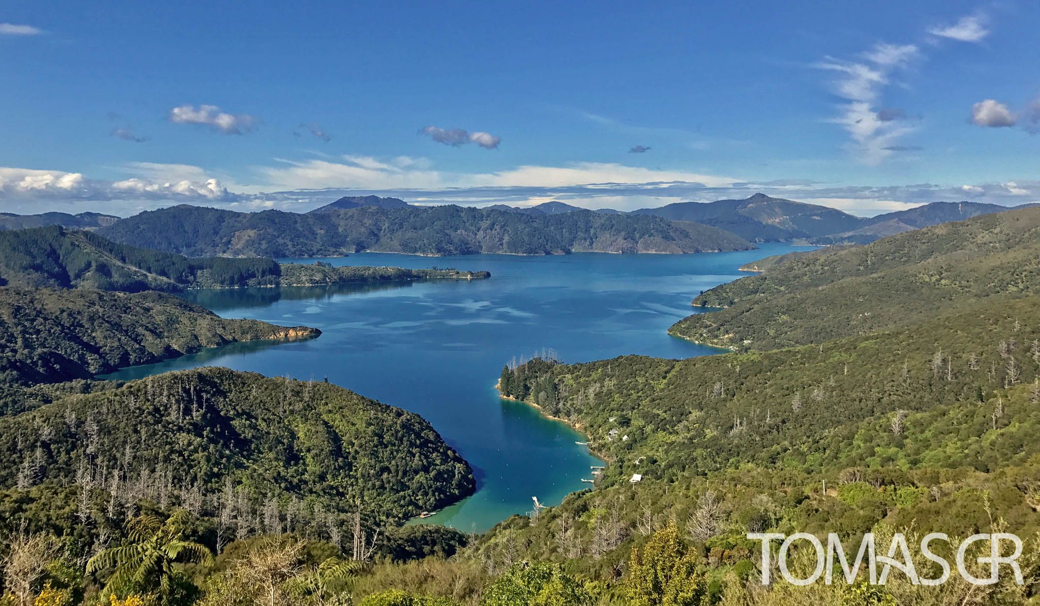 Tomas Gonzalez de Rosenzweig - Queen Charlotte Track, Picton, New Zealand